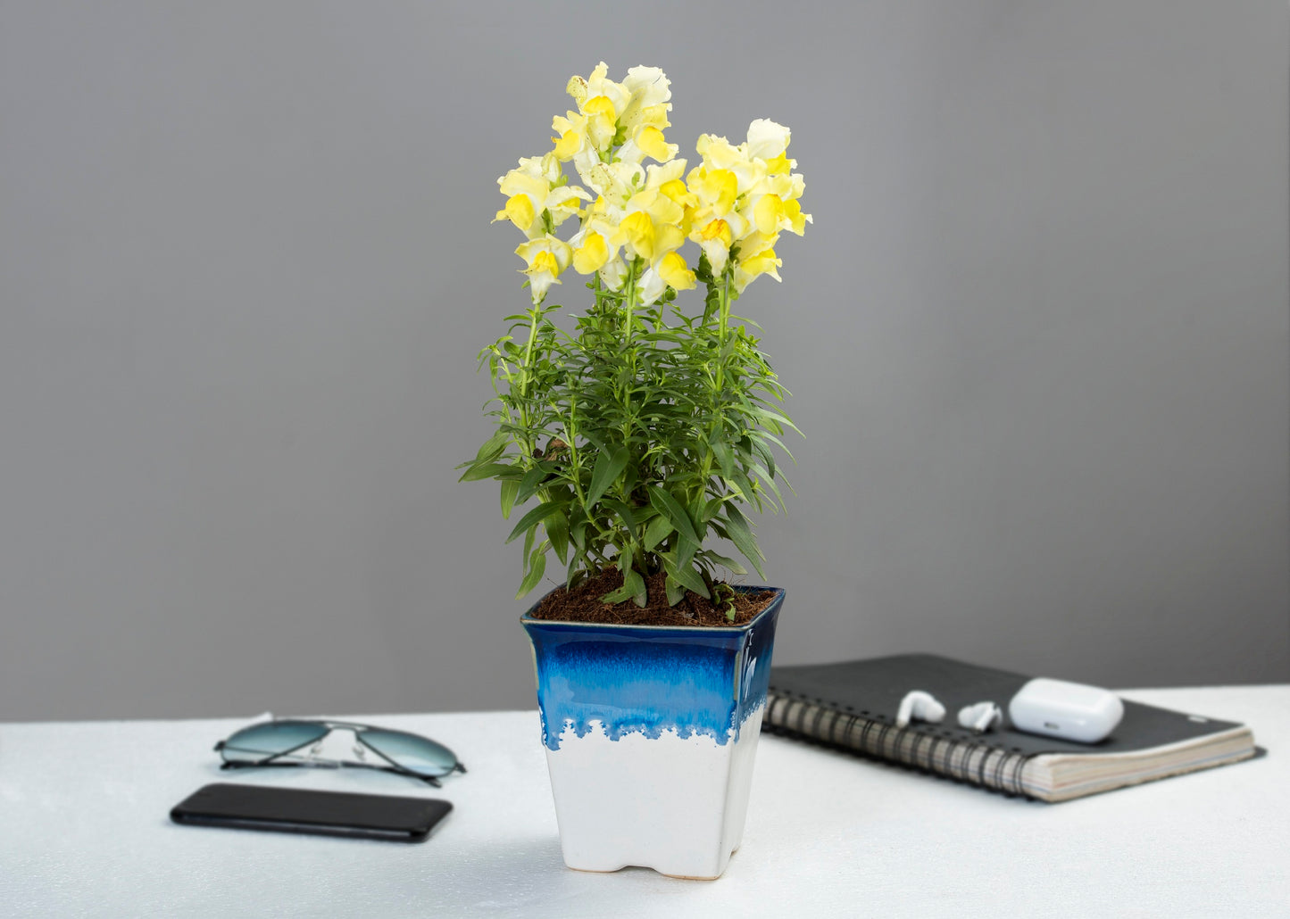 Exotic Green Dual Color Ocean Blue Ceramic Pottery/ Planter/Pot for Indoor Plants