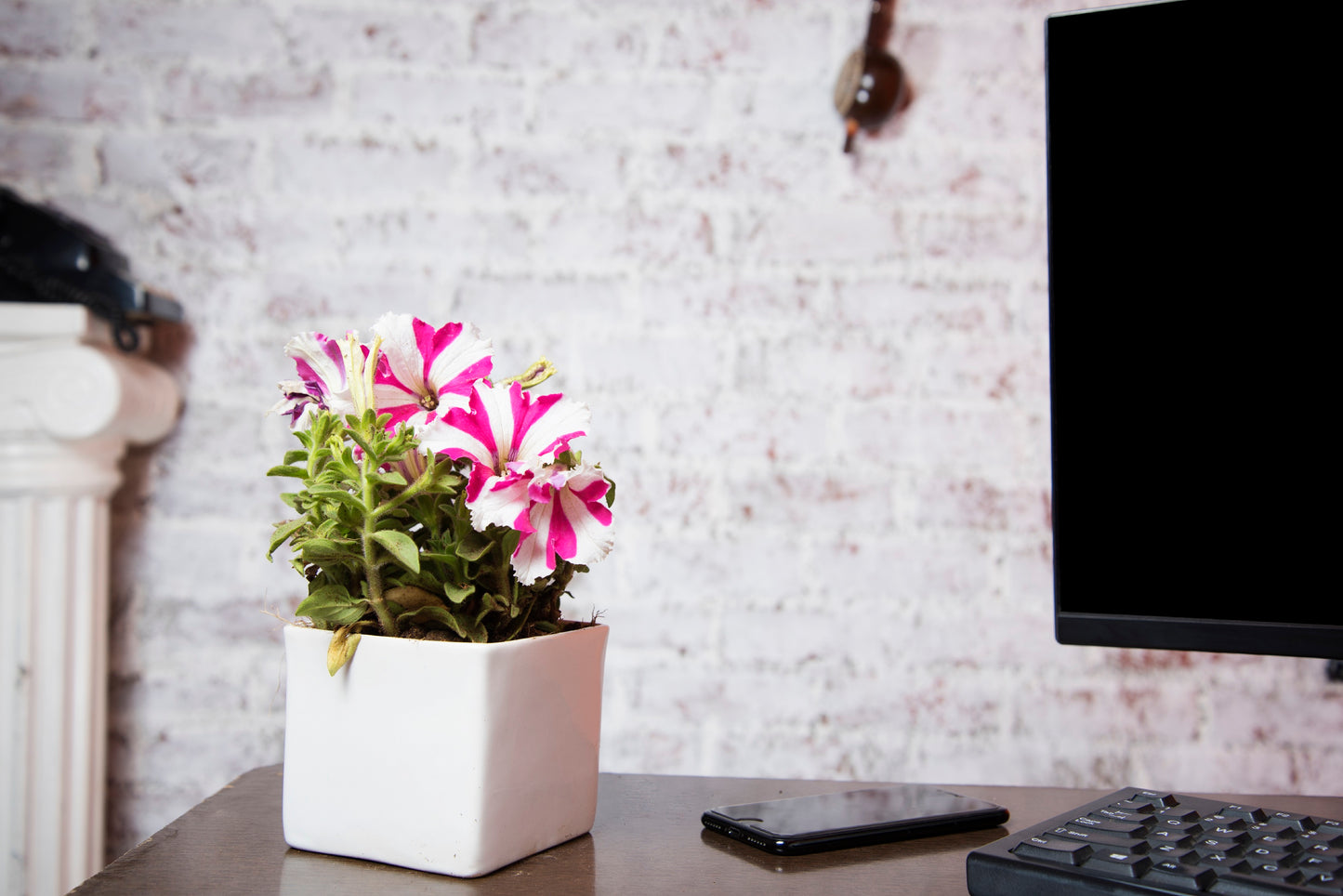 Exotic Green Solid Yellow Colour Square Shape Ceramic Studio Pottery/ Planter/Pot for Indoor Plants