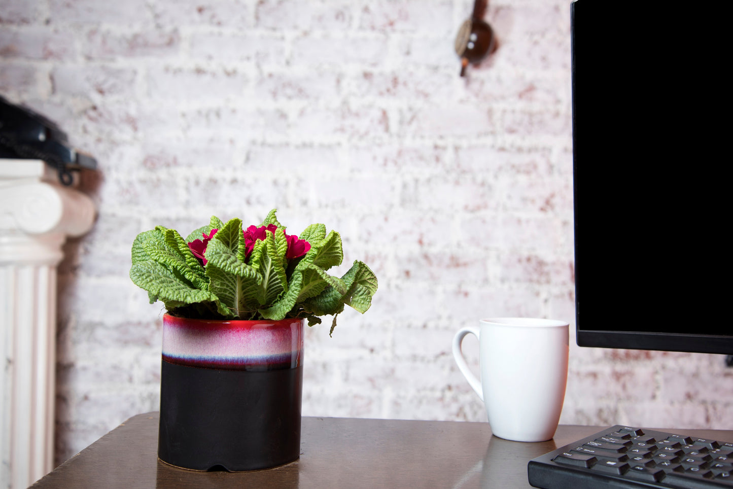 Exotic Green Matte Ceramic Pine Green Color Planter/ Pot for Live Plants