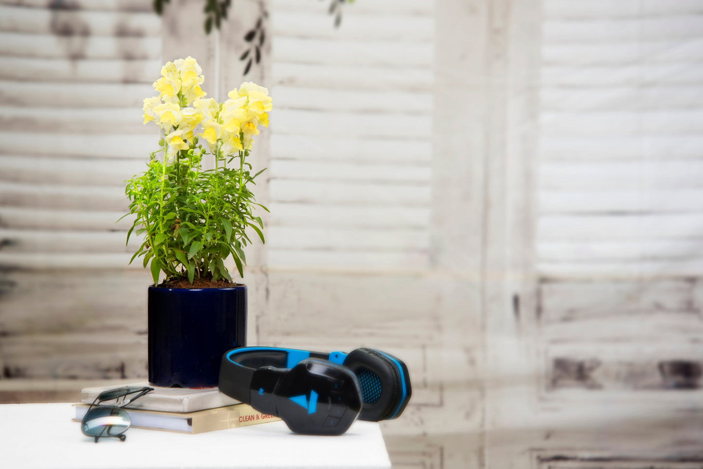 Exotic Green White Color Ceramic Planter/ Pot for Live Plants