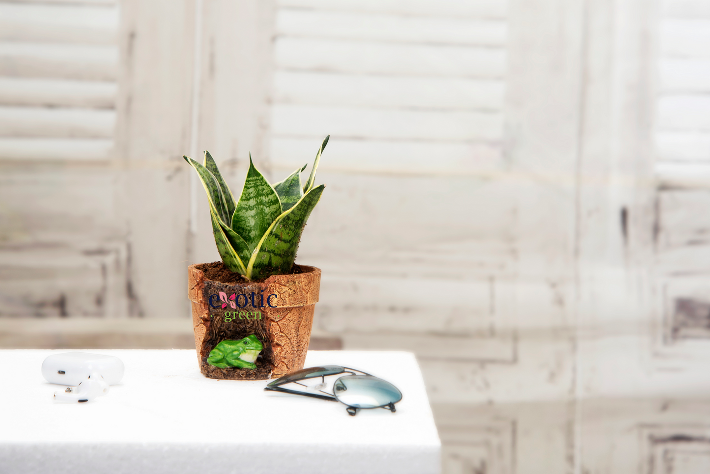 Exotic Green Beautiful Attractive Brown Colour Squirrel Fiber Planter for Indoor Plants & Balcony Gardening