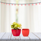 Cubo Shape Combo Ceramic Planters