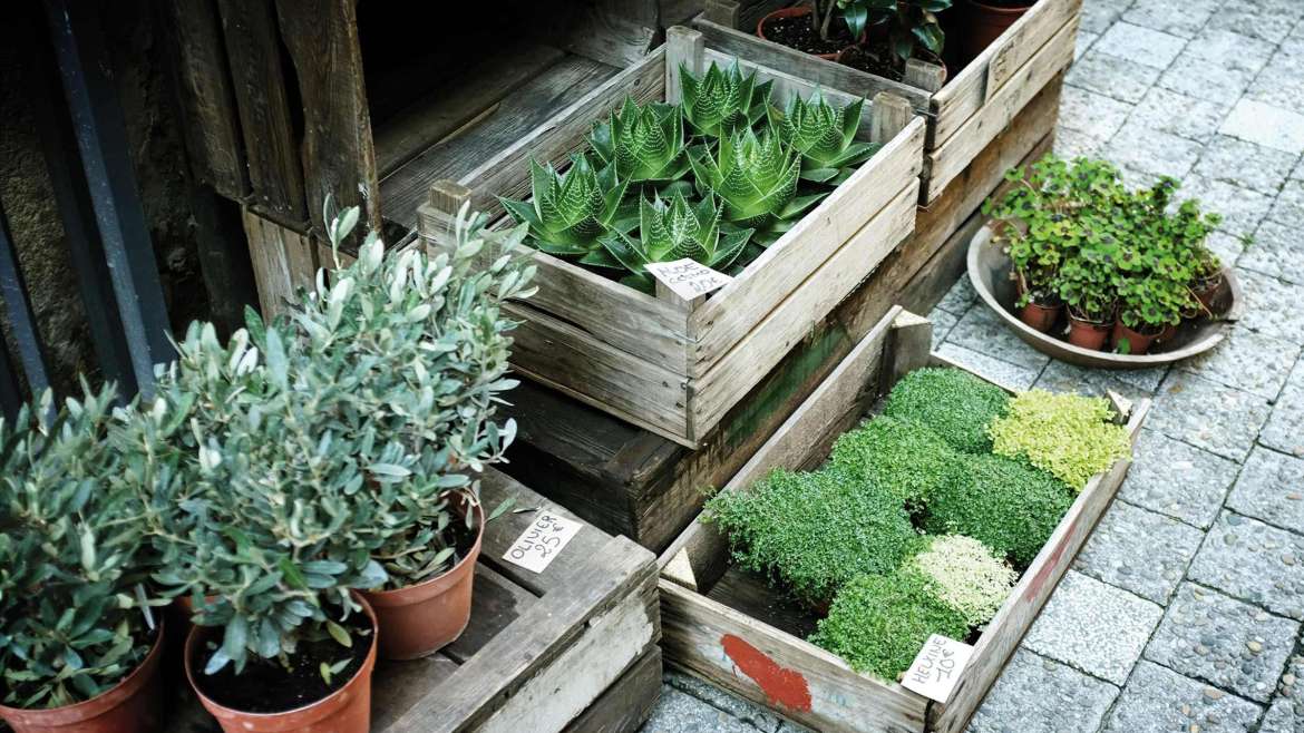 Planters Range