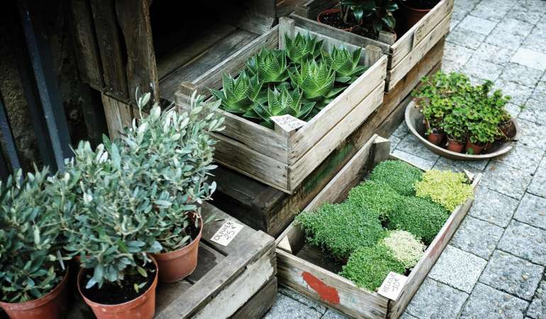 Planters Range